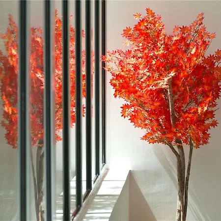 호텔 머큐어 센터 코메디