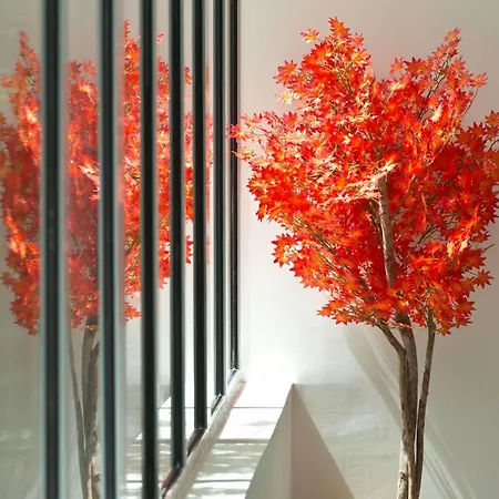 Mercure Centre Comedie Hotel Montpellier