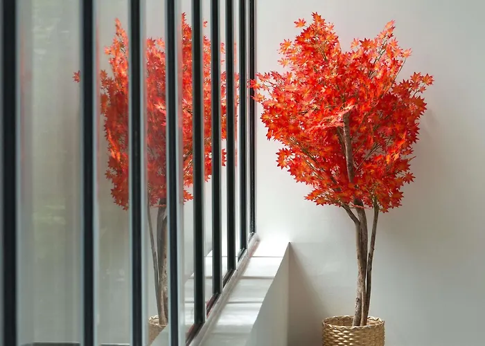 Mercure Centre Comedie Montpellier